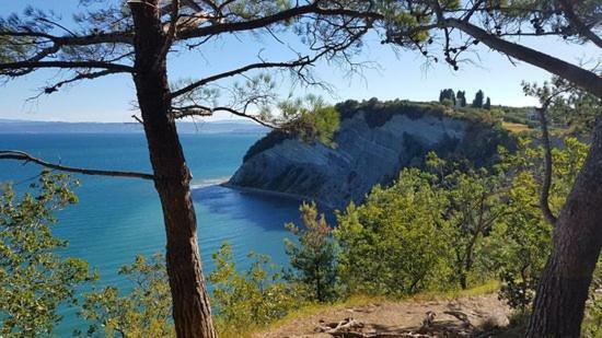Апартаменты Amazing View Pirano Экстерьер фото